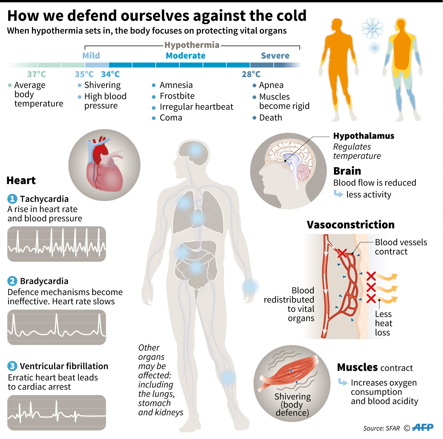The effect on the human body of nicotine. About the dangers of smoking The effect on the human body of nicotine. About the dangers of smoking