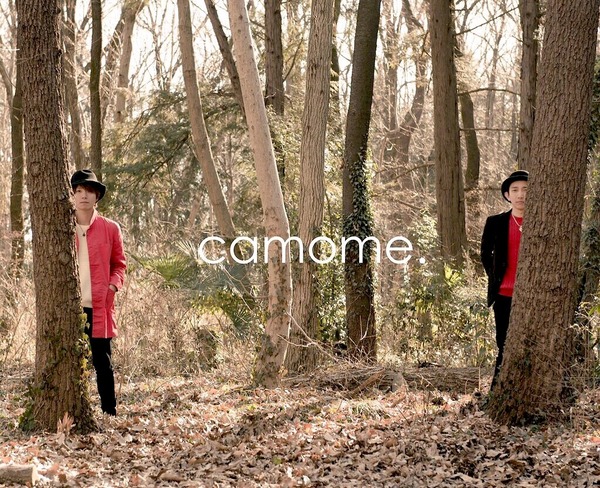 camome.