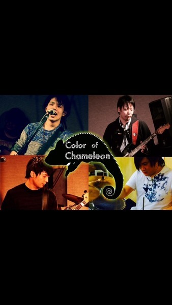 Color of Chameleon