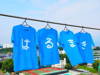 青はるまき