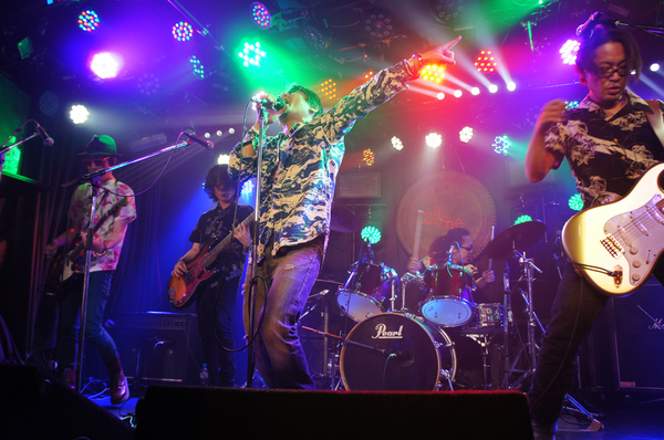 THE ROTTY IDLES