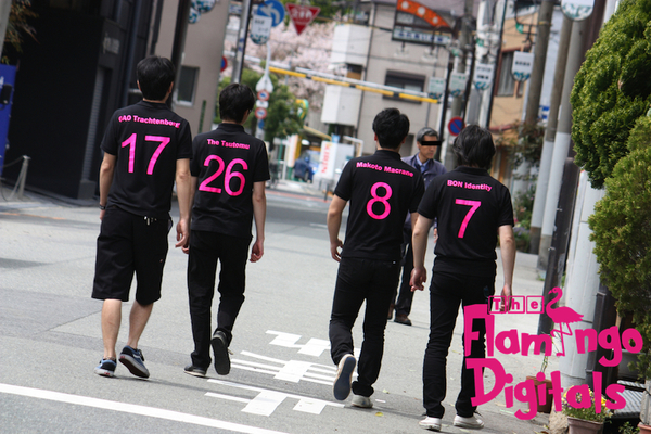 The Flamingo Digitals