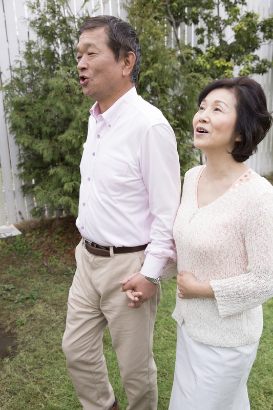 おばあちゃんの散歩(歩行中)