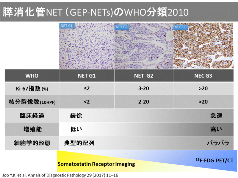 NET分類2010