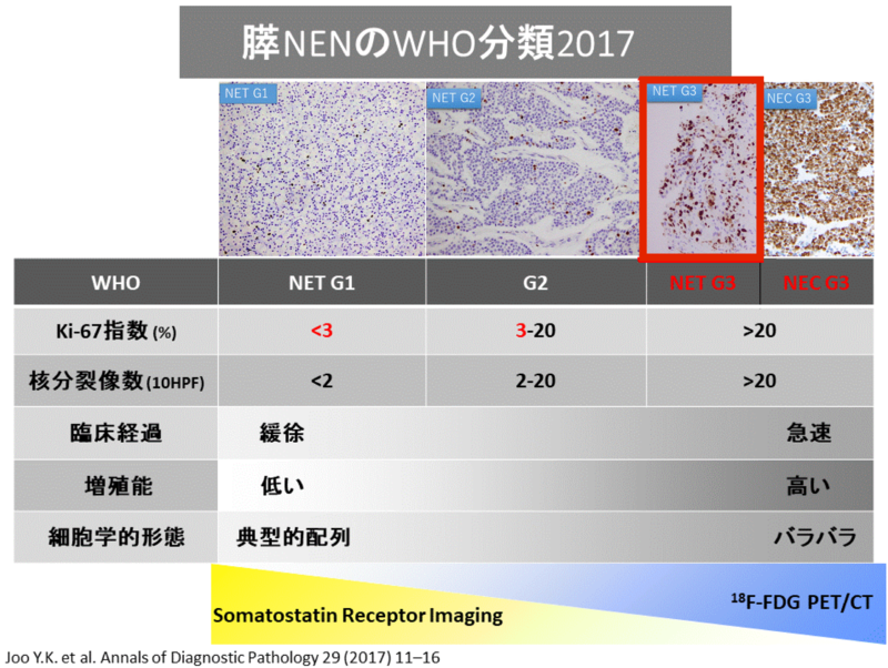 NET分類2017