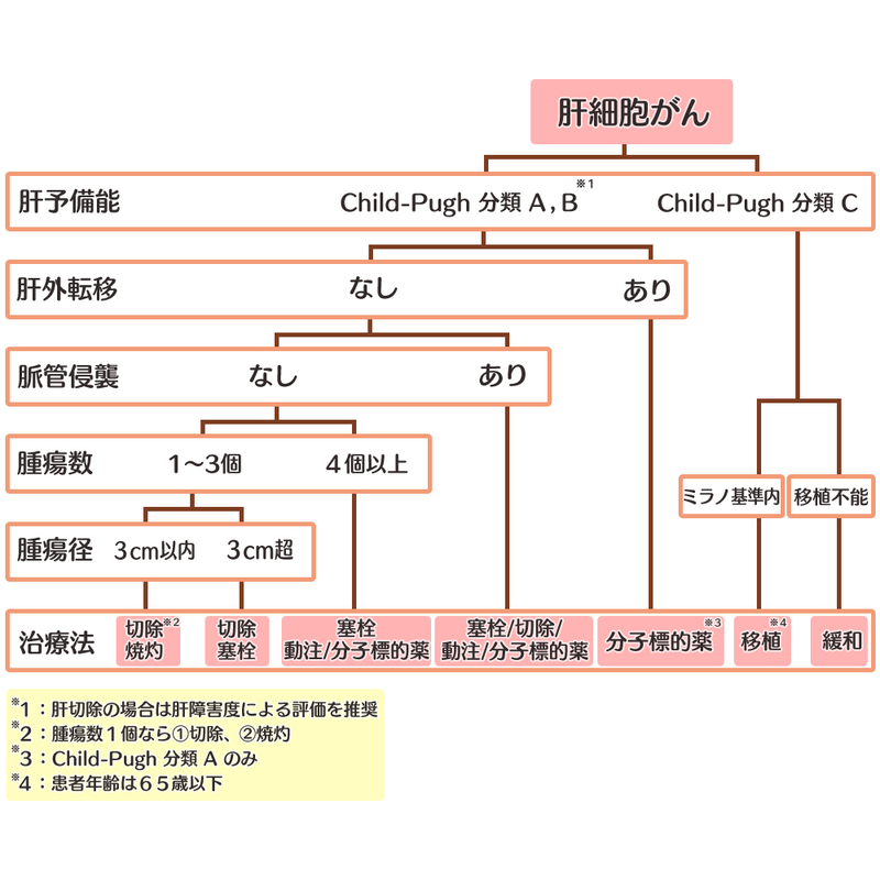 肝細胞癌の治療方針