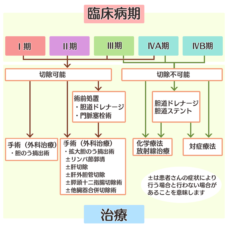 胆嚢癌の治療方針