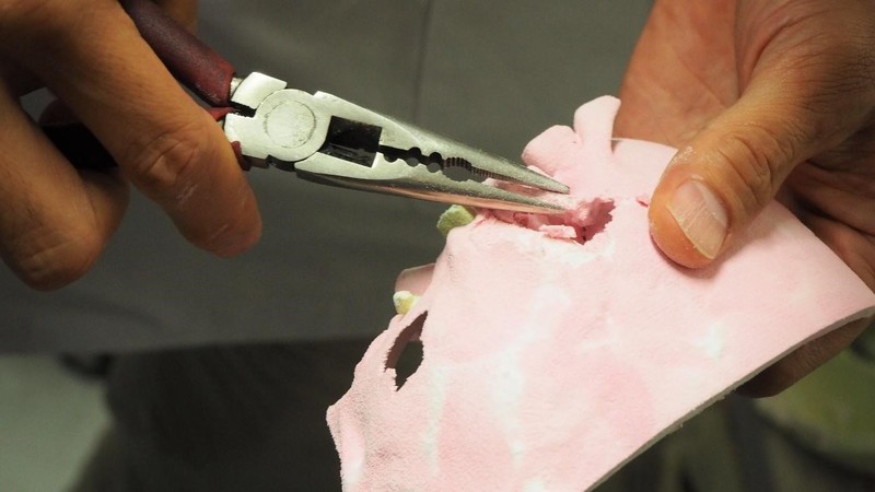 3Dプリンターを用いて作製した模型