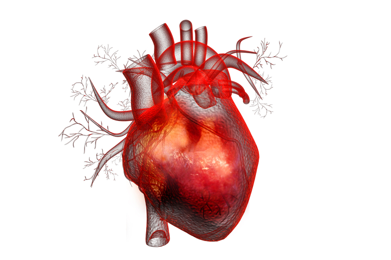 心臓