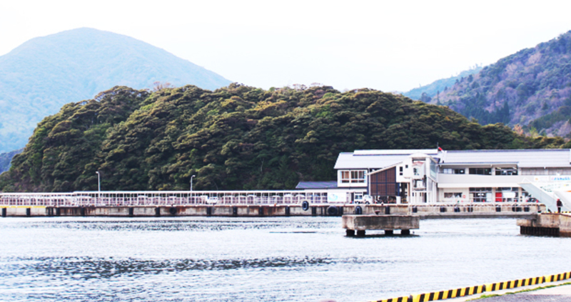 離島の診療から生まれた「整形内科」―プライマリ・ケアで分かった地域の医療ニーズ