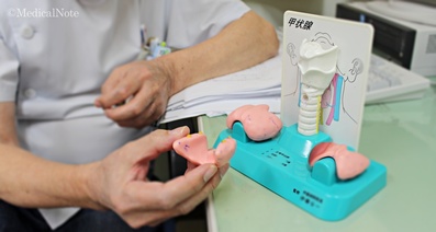 副甲状腺機能亢進症の原因-原発性と二次性(続発性)で原因が異なる