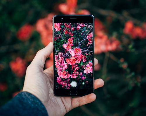 インスタグラムの使い方!初心者向け完全ガイドのイメージ