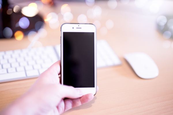 インスタグラムの画像を保存できるWEBSTAGRAM(WEBSTA(旧Webstagram))の使い方のイメージ