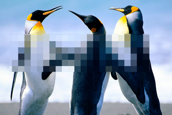 Aviutlで部分的にモザイク(フィルタ)をかける方法!移動物にぼかしを入れる方法も解説!のイメージ