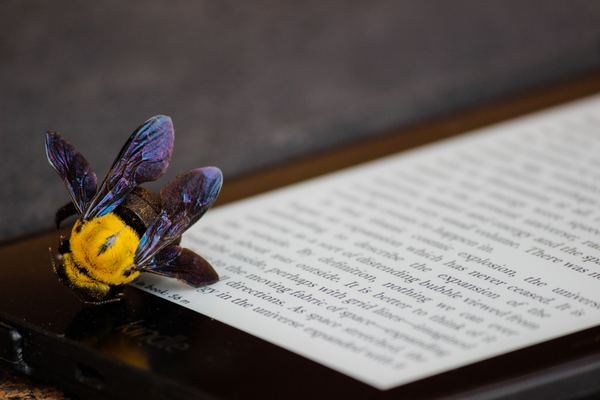 Kindle Fire HD 10タブレットのレビュー!メリット/デメリットと使い方を紹介!のイメージ