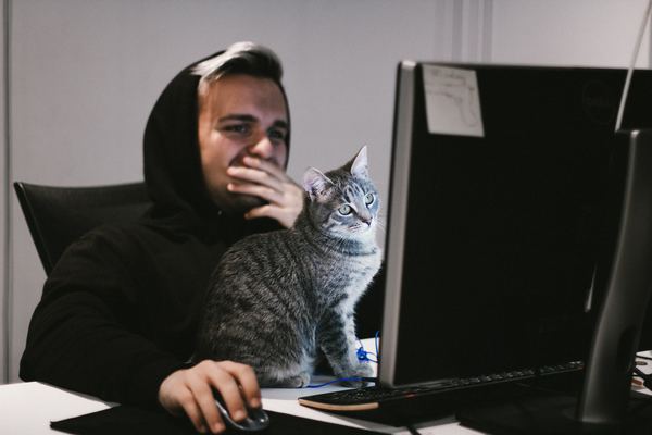 KB2267602(Windows Defender)の定義更新ができない/完了しない対処法!のイメージ