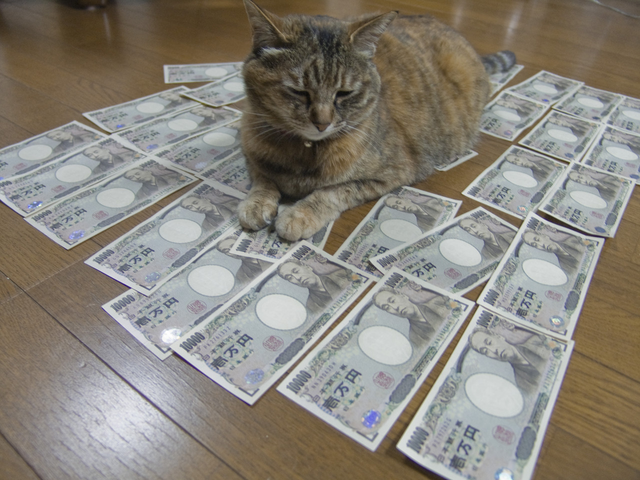 個人事業主の確定申告のやり方を解説!必要書類や期限はいつ?のイメージ
