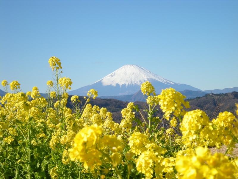 住宅ローン控除とは?その仕組みや基本概要から注意点までを徹底解説!のイメージ