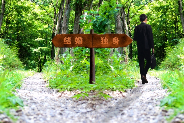 独身貴族の特徴や年収・生活まで徹底調査!結婚しない理由とは?のイメージ