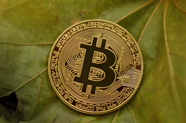 ビットコインが使える店の一覧!決済方法やメリットも解説!のイメージ