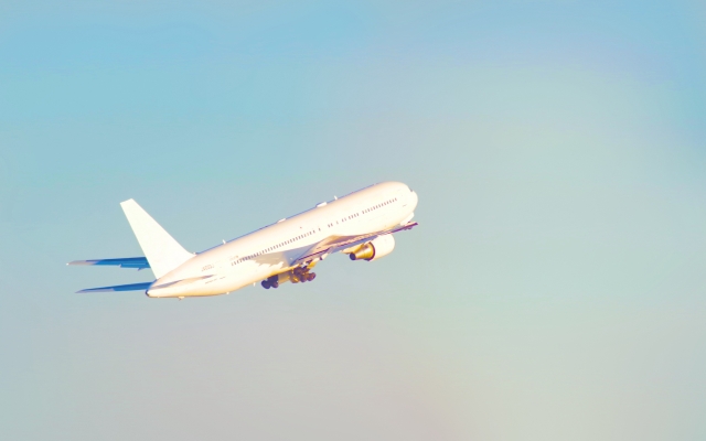 ANA特典航空券の裏ワザを紹介!ルールや条件から希望日予約の方法までのイメージ