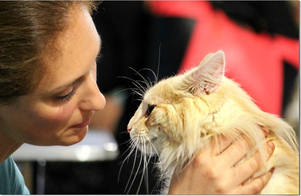 猫なで声で話す女性の特徴や心理とは?男性は要注意!!のイメージ