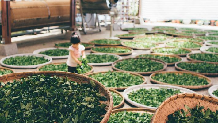 コストコの宇治抹茶グリーンティーが美味しい!おすすめアレンジは?のイメージ
