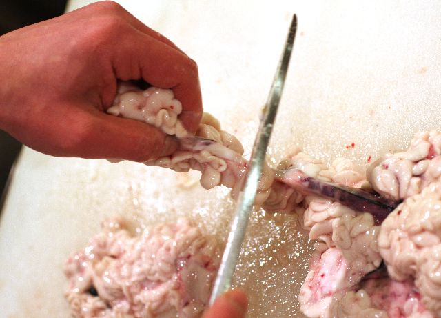 白子を切る様子