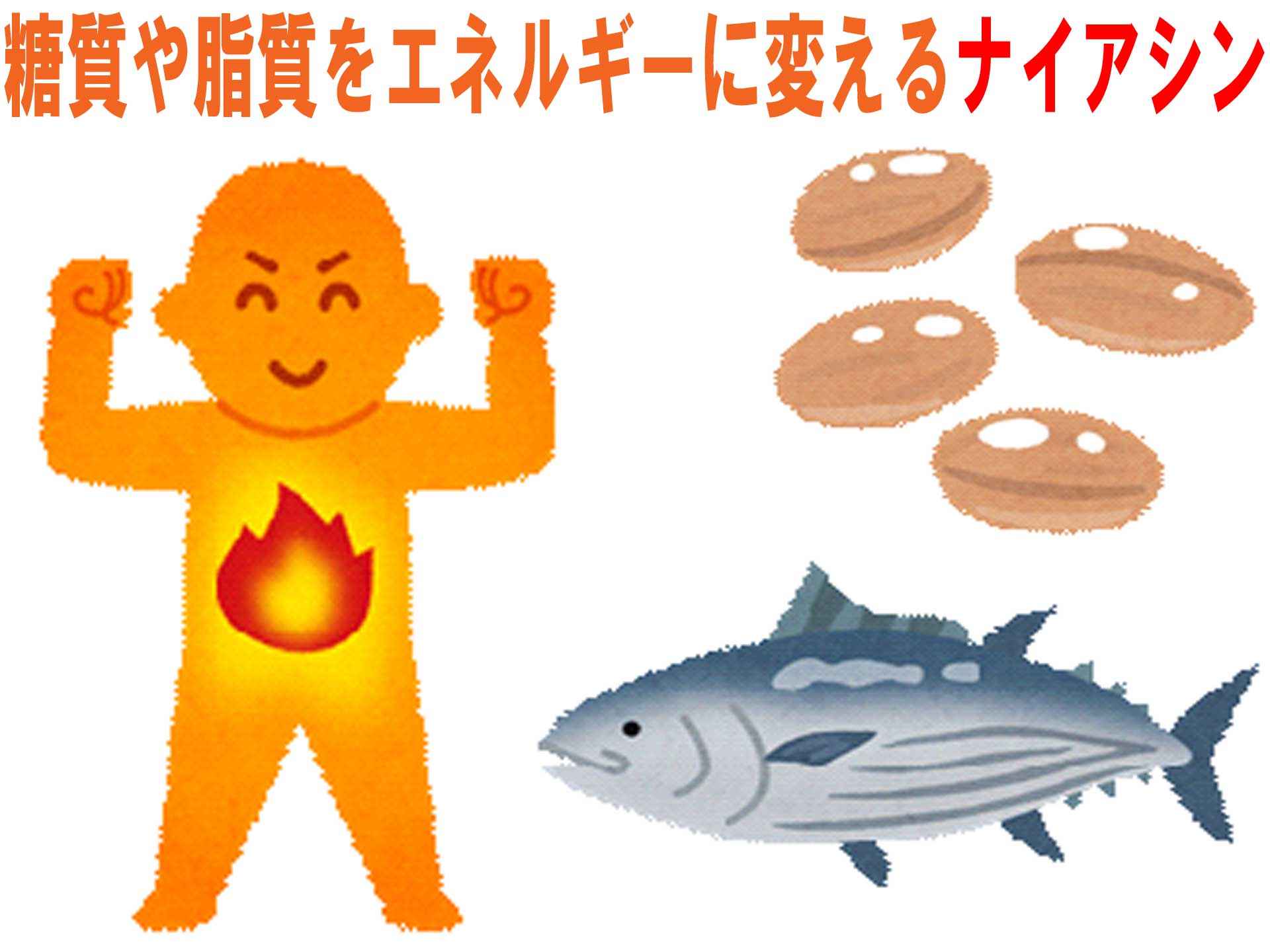 ナイアシンの効果