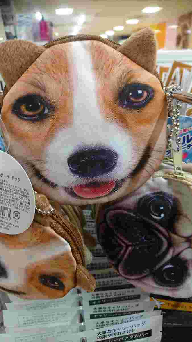 動物小銭入れ画像