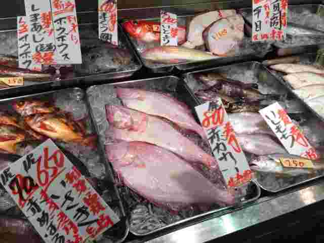 たくさんの魚