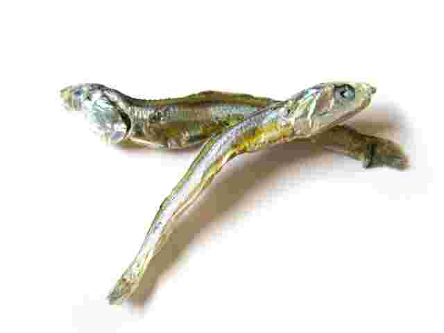 小魚干物