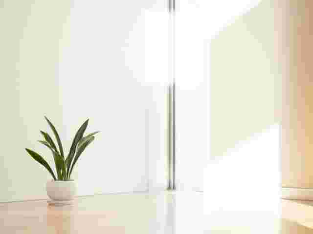 部屋の片隅に置かれた観葉植物