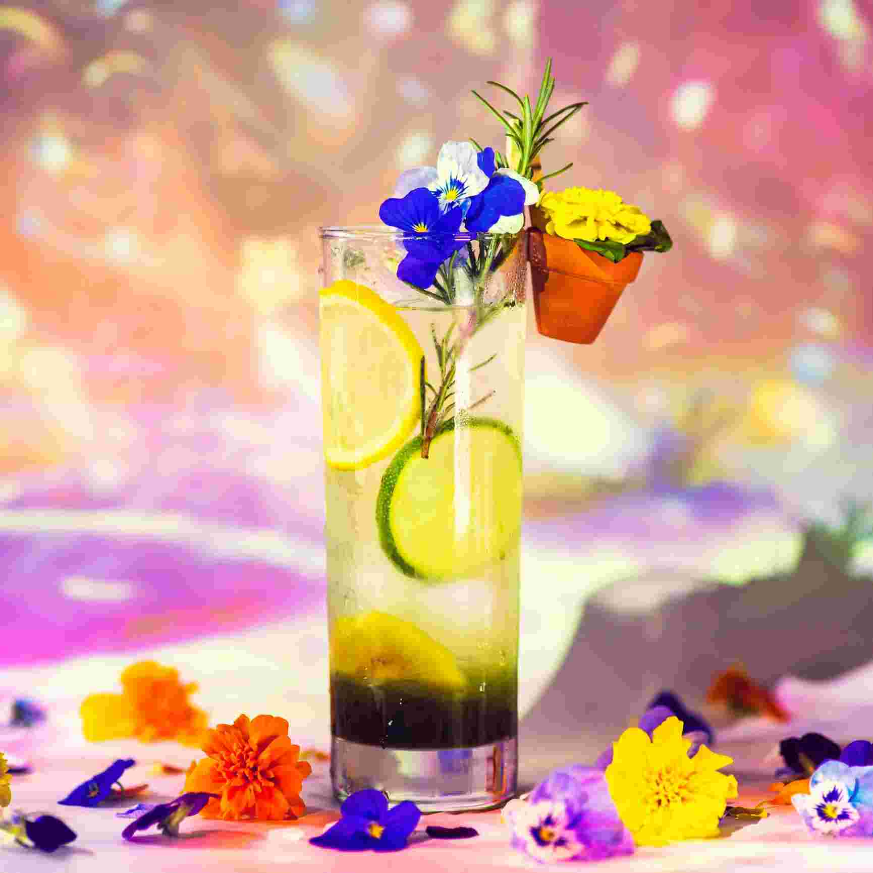 スペシャルドリンクWildflower Garden