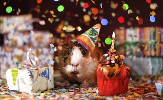 好きな人への誕生日にやるべき15のこと!喜ばれるお祝いの仕方は?のイメージ