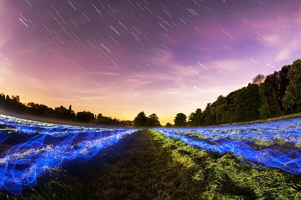 月星座が蠍座の性格や恋愛運・仕事運!さそり座と相性の良い星座は?のイメージ