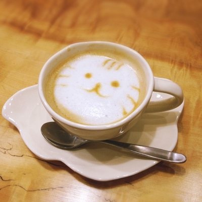 埼玉県のおすすめの猫カフェ!さいたま市の人気のお店も紹介のイメージ