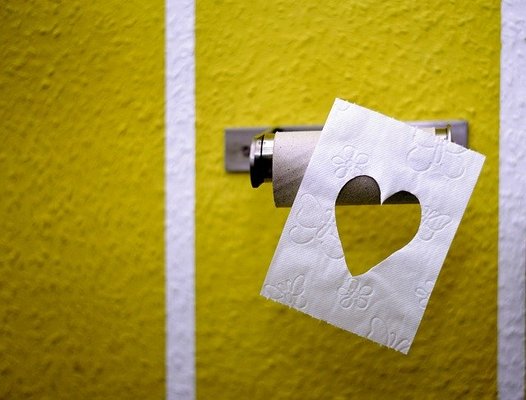 トイレマットは風水的に何色がいい?トイレカバーで運気アップしよう!のイメージ
