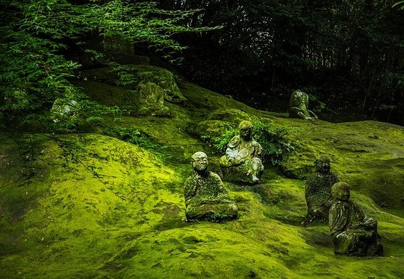 熊本県のインスタ映えスポット!おしゃれで可愛いフォトジェニックな場所を紹介のイメージ