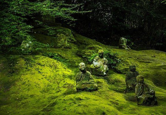 熊本県のインスタ映えスポット！おしゃれで可愛いフォトジェニックな場所を紹介のイメージ