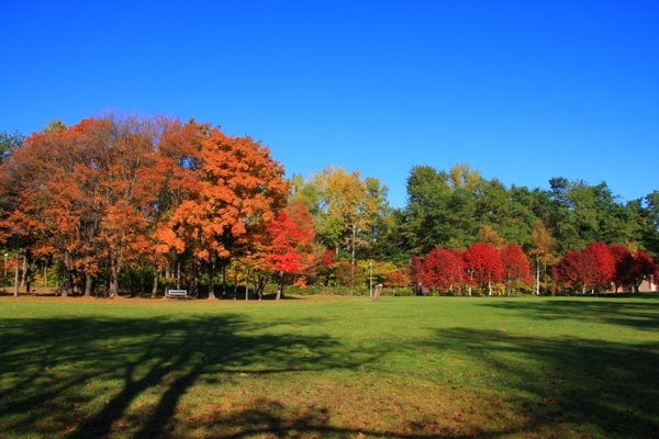 真駒内公園は桜と紅葉の名所!札幌の大自然を感じる!フクロウなどの野鳥も?のイメージ
