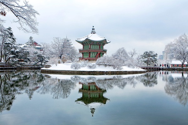 函館八幡宮の御朱印やお守りを紹介!初詣や結婚式に人気のスポット!桜も!のイメージ