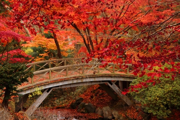 【香雪園】函館の深い歴史を感じる見晴公園!紅葉や桜の見頃や絶景とは?のイメージ