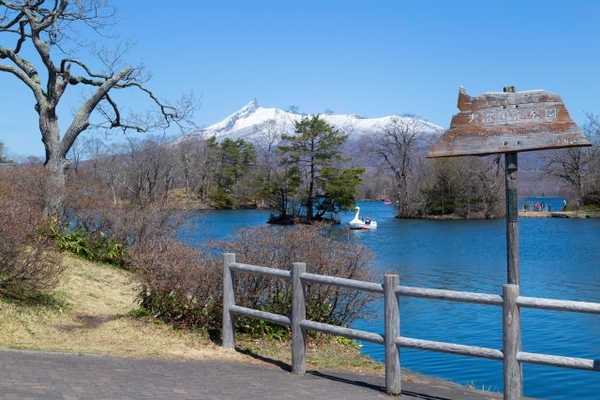 大沼公園は函館周辺の必見観光スポット!四季の絶景やイベントを紹介!のイメージ