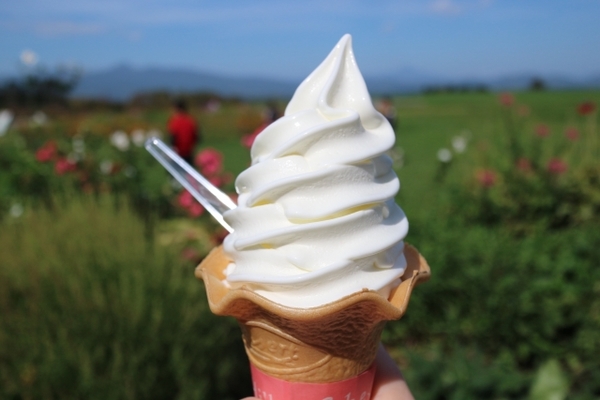 小樽の人気ソフトクリーム店ランキングTOP15!写真映えするメニューも! のイメージ