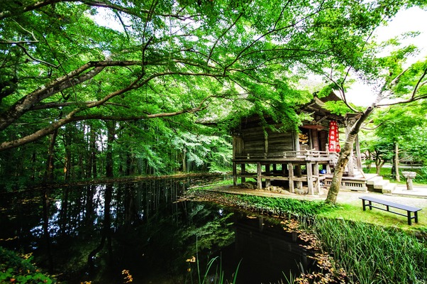 函館「湯倉神社」は湯の川温泉発祥の歴史あり!御朱印や夏詣が人気!のイメージ