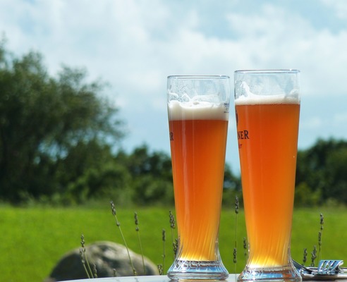 旭川のおすすめビアガーデン特集!夏の醍醐味イベントを満喫しよう!のイメージ