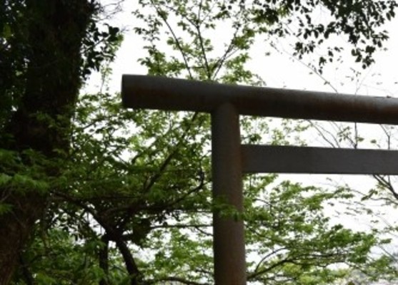 旭川を代表する祭り「上川神社祭」!開催日程や露店・神興の見所とは?のイメージ