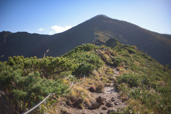 アポイ岳ジオパークの登山ルートを解説!貴重な珍しい花や注意点とは?のイメージ