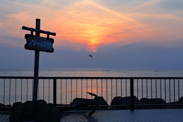 「ノシャップ岬」は夕日の絶景スポット!水族館も人気のおすすめ観光地!のイメージ